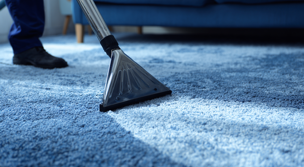 Dan_Realistic_photo_of_professional_carpet_cleaning_in_shades_808ccf38-26b0-4789-bc99-4821944e17fc_1